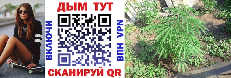 Где найти наркотики Тихвин А ПВП КОКАИН Гашиш Конопля