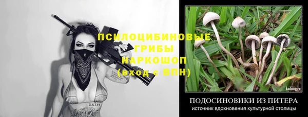 прущая мука Медвежьегорск