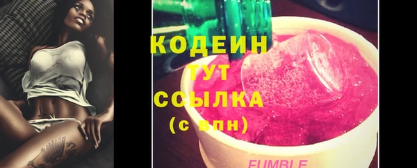 прущие грибы Белая Холуница