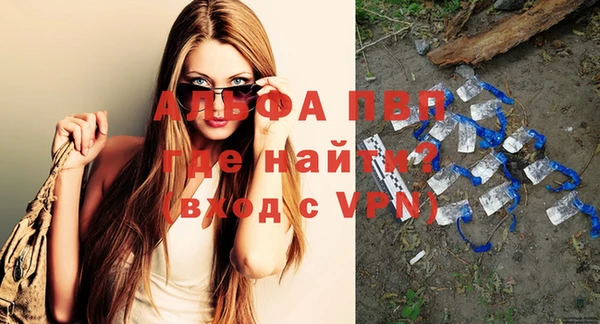 прущие грибы Белая Холуница