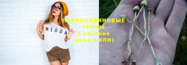 ешки Мегион