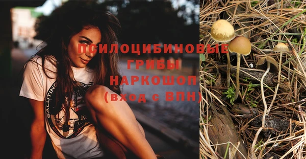 прущая мука Медвежьегорск