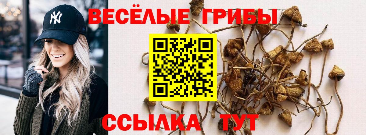 Тихвин  Псилоцибиновые грибы GOLDEN TEACHER  Псилоцибиновые грибы Cubensis  Вход с VPN 