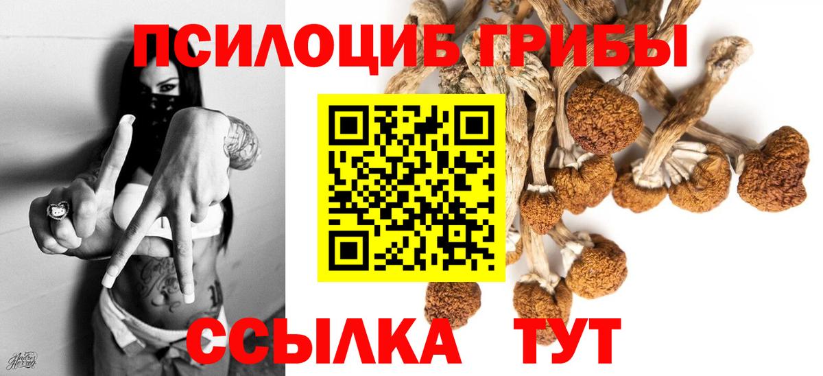 Псилоцибиновые грибы GOLDEN TEACHER Тихвин